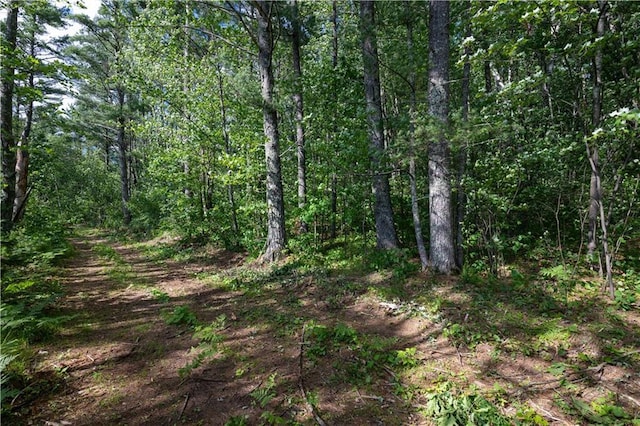 LOT45 Atlas Ln, Hayward, WI 54843 - view of wooded area