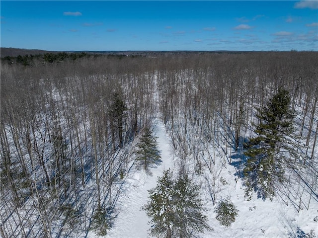 LOT45 Atlas Ln, Hayward, WI 54843 - view of snowy aerial view