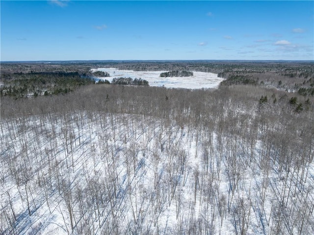 LOT45 Atlas Ln, Hayward, WI 54843 - drone / aerial view