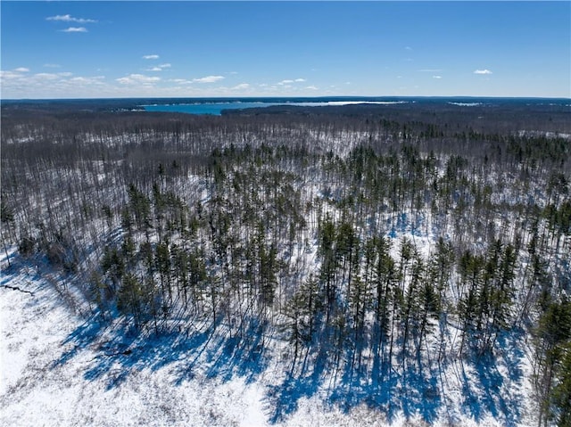 LOT45 Atlas Ln, Hayward, WI 54843 - bird's eye view