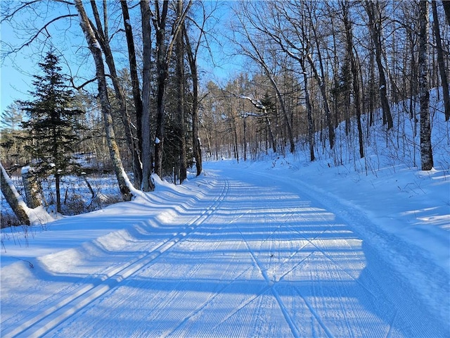 LOT45 Atlas Ln, Hayward, WI 54843 - view of yard covered in snow