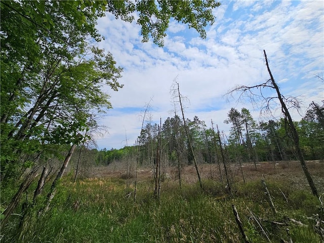 LOT45 Atlas Ln, Hayward, WI 54843 - view of undeveloped land