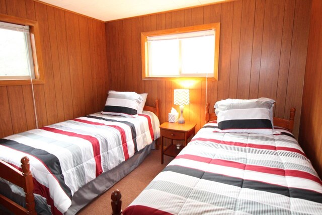 1984 W 7th Dr, Friendship, WI 53934 - bedroom featuring multiple windows, wood walls, and carpet floors