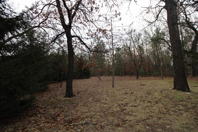 1984 W 7th Dr, Friendship, WI 53934 - view of local wilderness