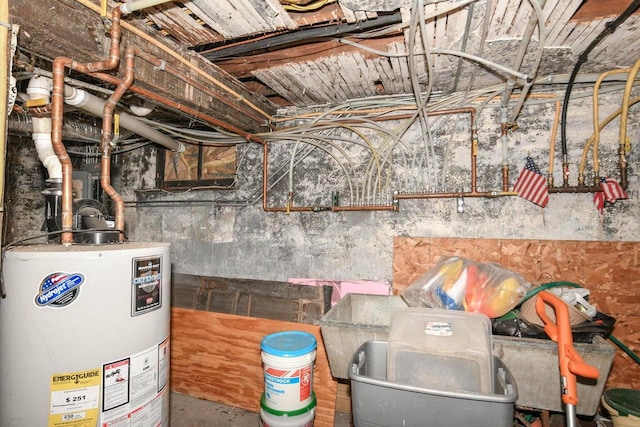 unfinished below grade area featuring water heater
