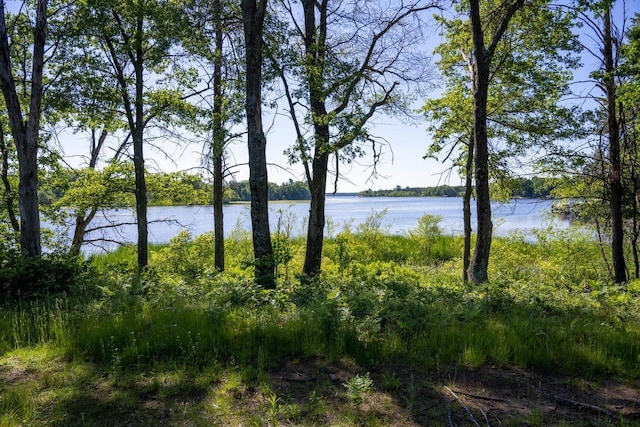 N9310 22nd Ave, Necedah, WI 54646 - property view of water