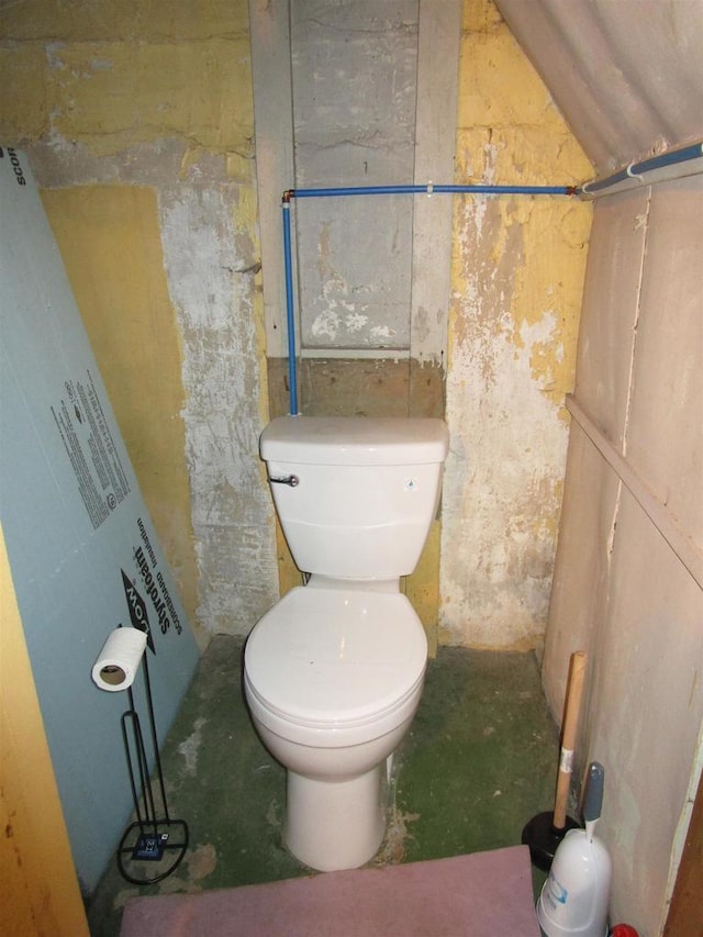 454 Center St, Adams, WI 53910 - bathroom with toilet