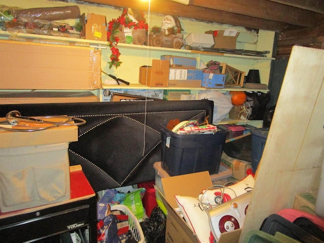 454 Center St, Adams, WI 53910 - view of storage area