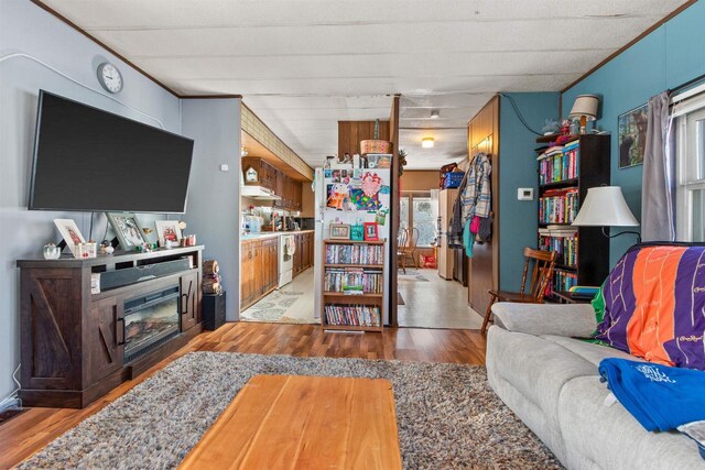 5830 Broadway St, Wisconsin Rapids, WI 54494 - living room featuring a glass covered fireplace and wood finished floors
