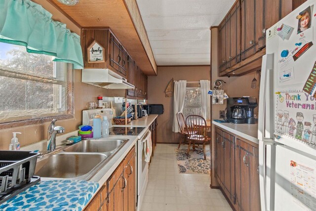 5830 Broadway St, Wisconsin Rapids, WI 54494 - kitchen featuring a healthy amount of sunlight, under cabinet range hood, light floors, white appliances, and a sink