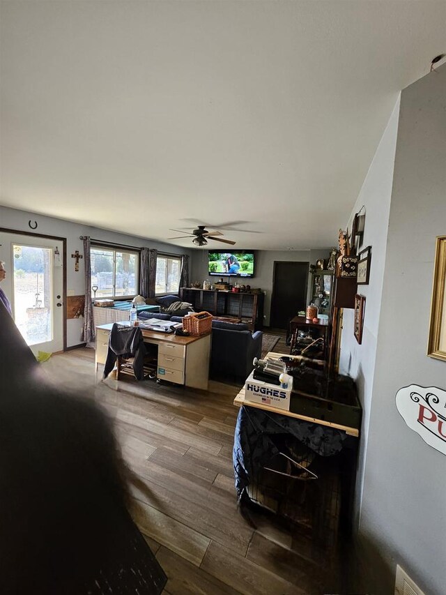 1159 Dover Dr, Adams, WI 53910 - living area with visible vents, wood finished floors, and a ceiling fan