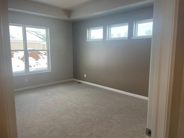 3371 Capellla Ln, Green Bay, WI 54311 - carpeted empty room with baseboards