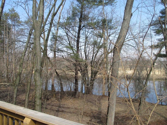 207 E Water St, Montello, WI 53949 - water view
