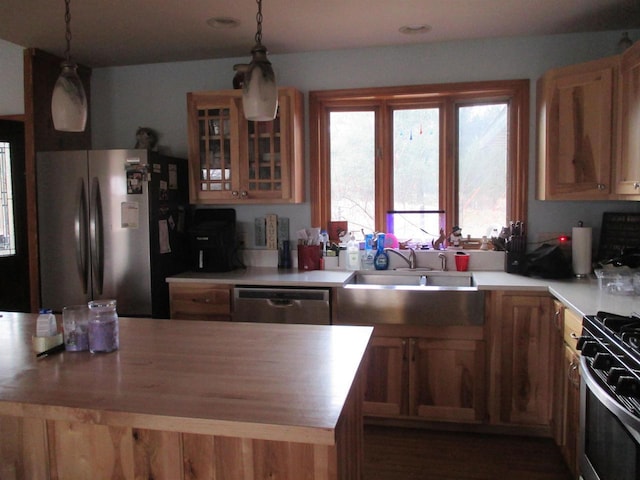 207 E Water St, Montello, WI 53949 - kitchen featuring stainless steel appliances, a sink, light countertops, glass insert cabinets, and hanging light fixtures
