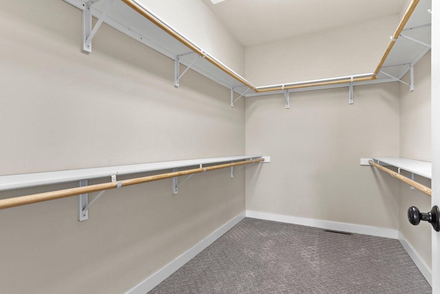 E12275 Timber Ridge Trl, Prairie Du Sac, WI 53578 - walk in closet with carpet flooring