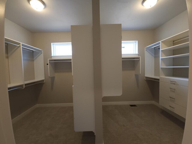 5684 N Kestrel Cir, Appleton, WI 54913 - walk in closet featuring carpet