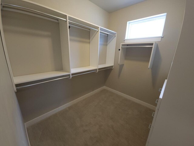5684 N Kestrel Cir, Appleton, WI 54913 - walk in closet with carpet flooring