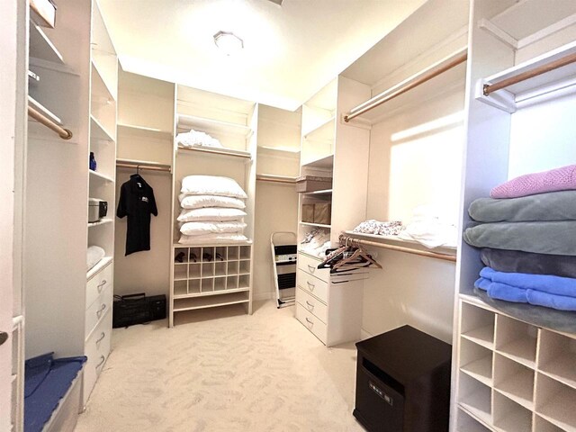 25621 Honeycut Ave, Tomah, WI 54660 - spacious closet with carpet flooring
