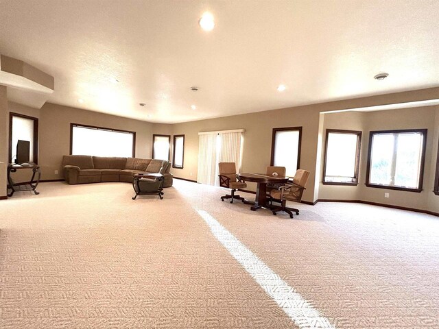 25621 Honeycut Ave, Tomah, WI 54660 - living area featuring baseboards, recessed lighting, carpet flooring, and a textured ceiling