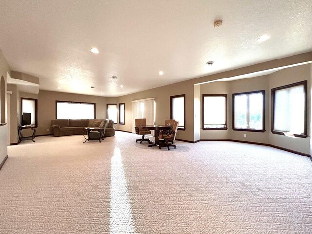 25621 Honeycut Ave, Tomah, WI 54660 - carpeted living area featuring baseboards, recessed lighting, and a textured ceiling