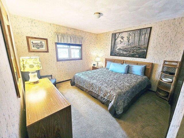 1090 Shabbona Dr, Fontana, WI 53125 - view of carpeted bedroom