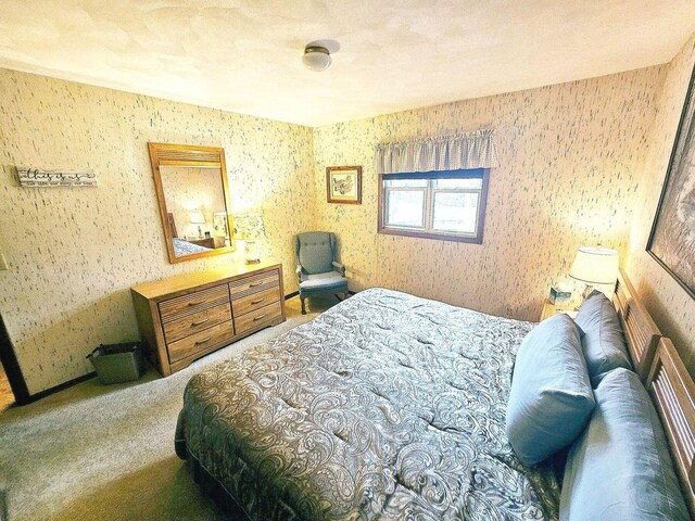 1090 Shabbona Dr, Fontana, WI 53125 - bedroom featuring carpet