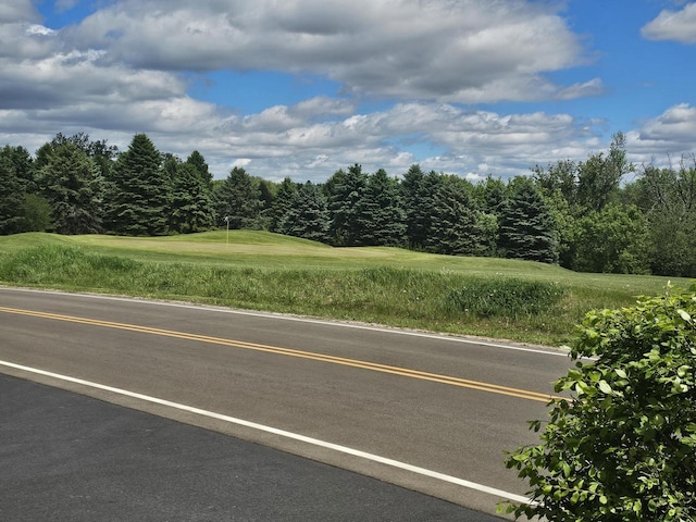 1090 Shabbona Dr, Fontana, WI 53125 - view of asphalt road