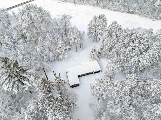 W11490 Boat Landing 7 Rd, Athelstane, WI 54104 - birds eye view of property