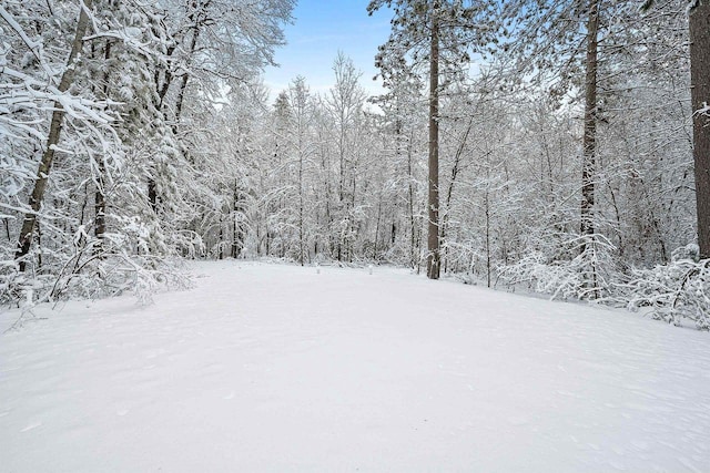 W11490 Boat Landing 7 Rd, Athelstane, WI 54104 - yard layered in snow with a view of trees