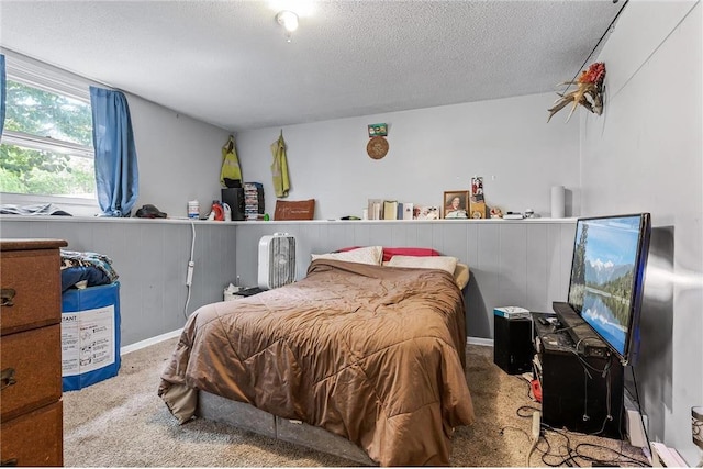 806 Oak Ridge Dr, Osceola, WI 54020 - bedroom featuring carpet floors and a textured ceiling