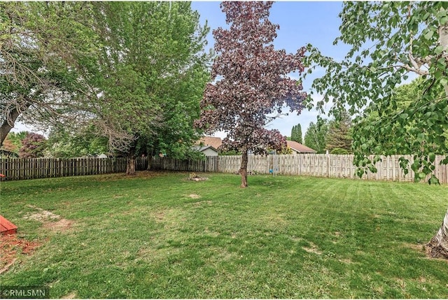 806 Oak Ridge Dr, Osceola, WI 54020 - view of yard