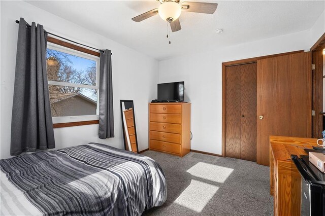 3374 Gerrard Ave, Eau Claire, WI 54701 - bedroom featuring carpet flooring, a ceiling fan, and a closet