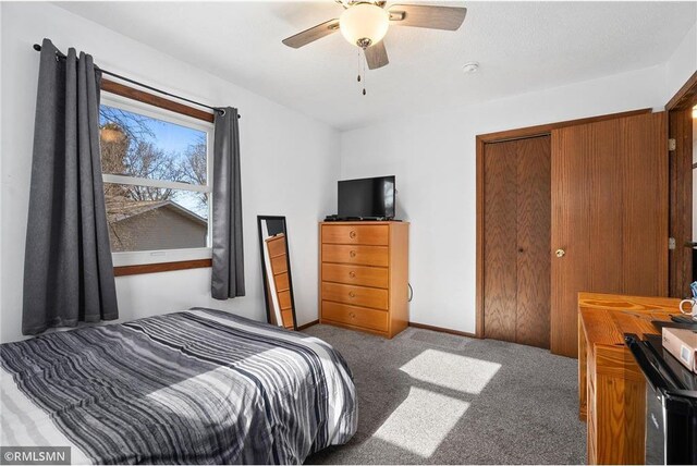 3374 Gerrard Ave, Eau Claire, WI 54701 - bedroom featuring a closet, carpet flooring, and a ceiling fan
