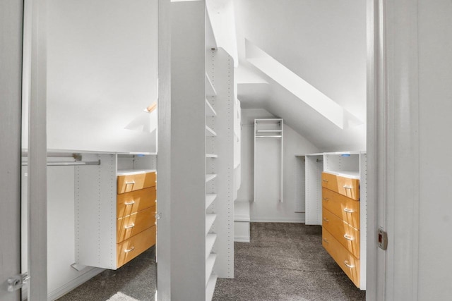 725 Eugenia Ave, Madison, WI 53705 - walk in closet featuring a skylight, dark carpet, and lofted ceiling