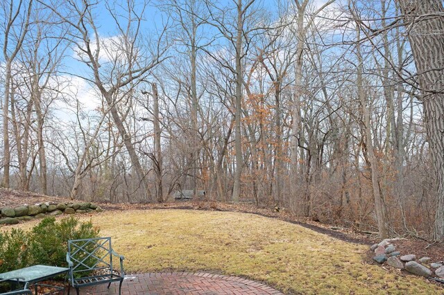 36082 N Beach Rd, Oconomowoc, WI 53066 - view of yard