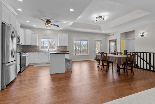 W4668 Reetz Rd, Princeton, WI 54968 - kitchen with stainless steel appliances, tasteful backsplash, ceiling fan, white cabinets, and dark countertops