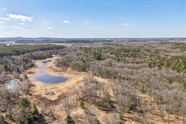 W3736 Oak St, Montello, WI 53949 - birds eye view of property with a view of trees