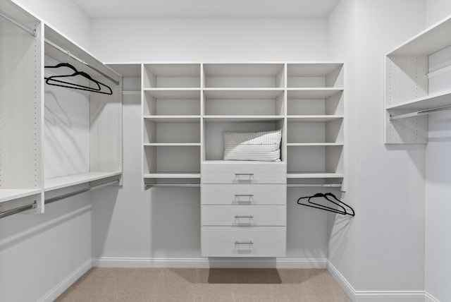 W214N4987 Casey Ct, Menomonee Falls, WI 53051 - walk in closet with light carpet