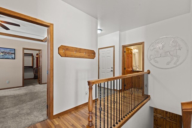 8464 County Rd S, Pulaski, WI 54162 - hallway with baseboards, wood finished floors, an upstairs landing, and carpet floors