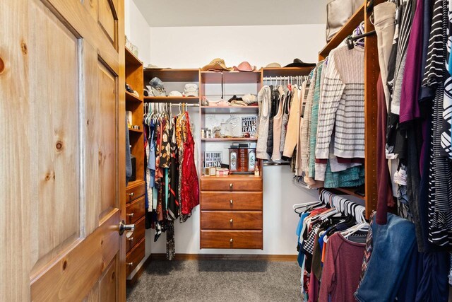 8464 County Rd S, Pulaski, WI 54162 - walk in closet featuring carpet flooring