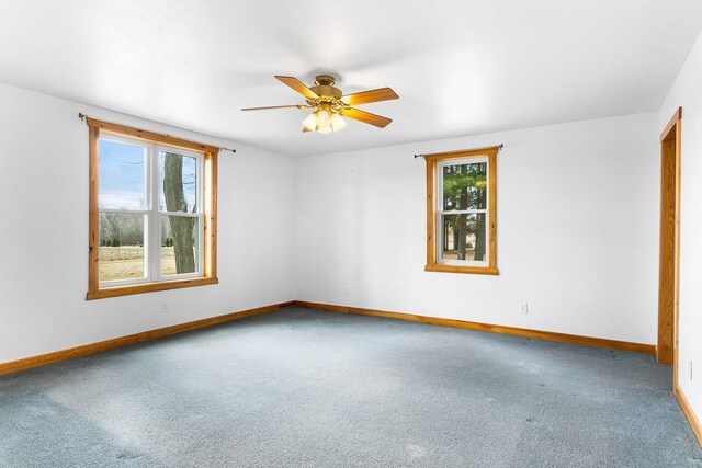 N402 24th Ave, Neshkoro, WI 54960 - carpeted spare room with plenty of natural light, baseboards, and a ceiling fan