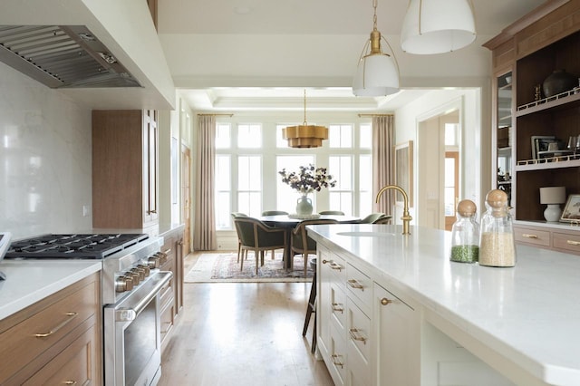 545 Wisconsin Ave, Delafield, WI 53018 - kitchen featuring a tray ceiling, under cabinet range hood, backsplash, light wood-style floors, and high end range