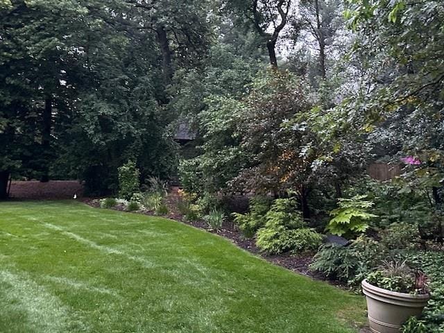 3736 Forest Knoll Dr, Eau Claire, WI 54701 - view of yard