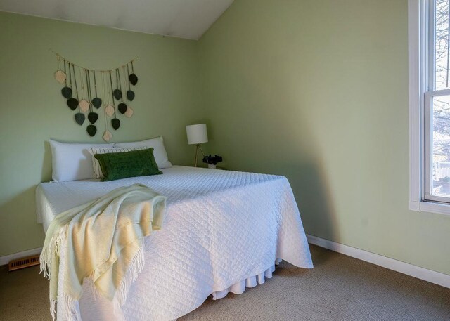 102 Highland St, Belmont, WI 53510 - carpeted bedroom featuring baseboards, multiple windows, and vaulted ceiling