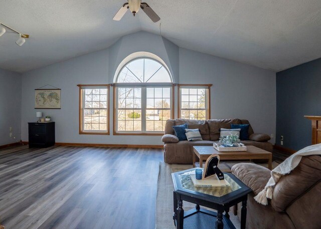 102 Highland St, Belmont, WI 53510 - living area with ceiling fan, baseboards, wood finished floors, and lofted ceiling