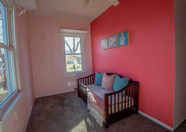 102 Highland St, Belmont, WI 53510 - carpeted bedroom with baseboards