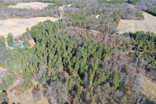 bird's eye view with a view of trees