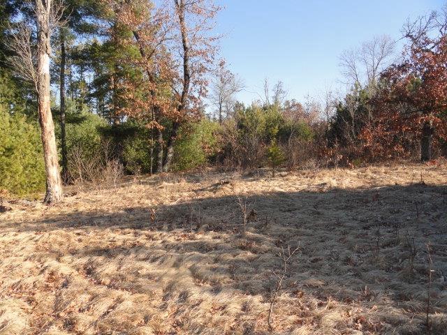 view of local wilderness
