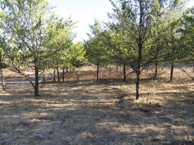view of nature