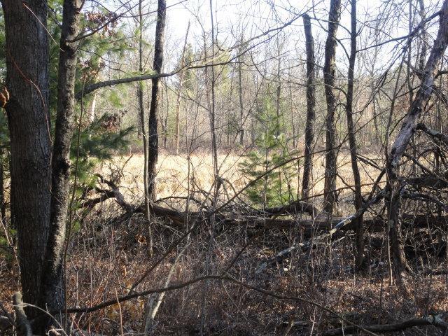 view of nature